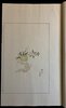 Another image of Shizhuzhai Shuhuapu 十竹斎書画譜 Ten Bamboo Studio Manual of Painting and Calligraphy - 4 Volumes by HU, Zhengyan (胡正言)