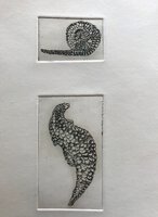 Two delightful engravings of a Pangolin by [ANON]