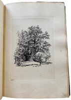 Sylva Britannica; or Portraits of Forest Trees. by STRUTT, Jacob George