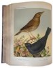 Another image of The Illustrated Book of Canaries and Cage-Birds, British and Foreign. by BLAKSTON, W. A., SWAYSLAND, W., WIENER, August F.