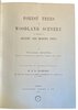 Another image of Forest Trees and Woodland Scenery as described in Ancient and Modern Poets. by MENZIES, William.