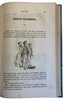 Another image of L'Age d'or : livre instructif et amusant, dédi ́à la jeunesse by GAVARNI, DAUMIER et al.