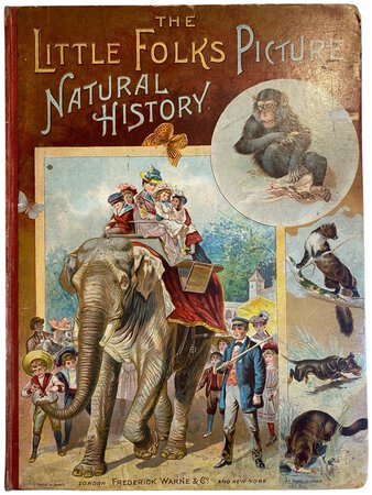 The Little folks' Picture Natural History. by STEP, Edward.