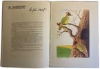 Another image of Nos Oiseaux et leurs nids by MARYLOUISA