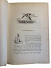 Another image of La vie hors de chez soi. Comedie de nortre temps. by BERTALL