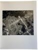 Another image of Ex-Voto by TOMLINSON, Alys