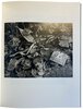 Another image of Ex-Voto by TOMLINSON, Alys