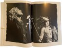Another image of Led Zeppelin and Related Hexagonal Experiences by LE PABIC, Christoph & PASCAL, Benoit.