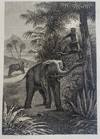 Figures des Fables de La Fontaine by [LA FONTAINE, Jean de]. RANSONNETTE, Charles