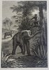 Another image of Figures des Fables de La Fontaine by [LA FONTAINE, Jean de]. RANSONNETTE, Charles