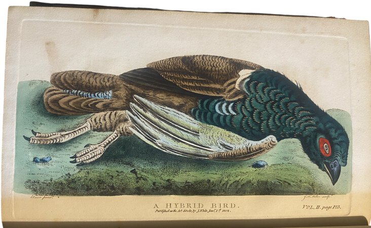 The works in Natural History of the Late Rev. Gilbert White. by WHITE, Gilbert. Rev.
