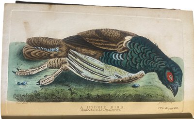 The works in Natural History of the Late Rev. Gilbert White. by WHITE, Gilbert. Rev.