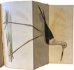 Another image of The works in Natural History of the Late Rev. Gilbert White. by WHITE, Gilbert. Rev.