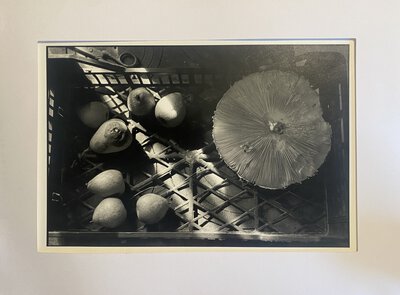 Still life of mushroom and fruit - Chez Mario by BLOCH-LAINÉ, Jean-Louis