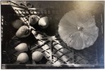 Another image of Still life of mushroom and fruit - Chez Mario by BLOCH-LAINÉ, Jean-Louis