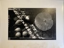 Another image of Still life of mushroom and fruit - Chez Mario by BLOCH-LAINÉ, Jean-Louis