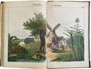 Another image of Bilder zum Anschauungs-Unterricht für die Jugend by SCHREIBER, J. F.