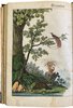 Another image of Bilder zum Anschauungs-Unterricht für die Jugend by SCHREIBER, J. F.