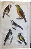 Another image of Bilder zum Anschauungs-Unterricht für die Jugend by SCHREIBER, J. F.