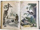 Another image of Bilder zum Anschauungs-Unterricht für die Jugend by SCHREIBER, J. F.