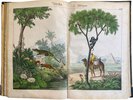 Another image of Bilder zum Anschauungs-Unterricht für die Jugend by SCHREIBER, J. F.