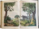 Another image of Bilder zum Anschauungs-Unterricht für die Jugend by SCHREIBER, J. F.