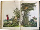Another image of Bilder zum Anschauungs-Unterricht für die Jugend by SCHREIBER, J. F.