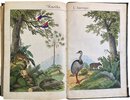 Another image of Bilder zum Anschauungs-Unterricht für die Jugend by SCHREIBER, J. F.