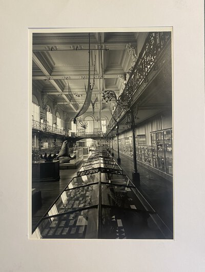 A photograph of the interior of the Oceanographic Museum of Monaco by BLOCH-LAINÉ, Jean-Louis