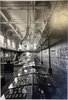 Another image of A photograph of the interior of the Oceanographic Museum of Monaco by BLOCH-LAINÉ, Jean-Louis