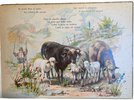 Another image of Animales Domesticos by LOWENSOHN