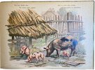 Another image of Animales Domesticos by LOWENSOHN