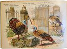 Another image of Animales Domesticos by LOWENSOHN