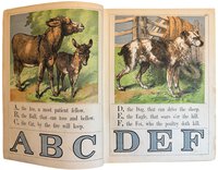 Aunt Fanny's Picture Present Book by [ANON]