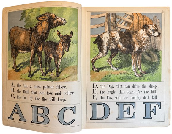 Aunt Fanny's Picture Present Book by [ANON]