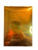 Another image of Welches Papier ist das? by KOTTE, Hans.