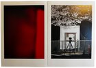 Another image of Petalopolis by NIIRO, Sho. 新納翔