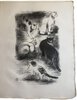 Another image of Fables de Florian. by FLORIAN, J.P.