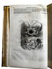 Another image of Scènes de la vie privée et publique des animaux by GRANDVILLE; BALZAC, STAHL, P.-J.