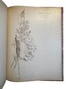 Another image of Les Mots Historiques du Pays de France. by TROGAN, É.