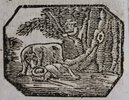 Another image of ENTERTAINING STORIES for Good Boys and Girls. Embellished with Wood Cuts. Price One Halfpenny.