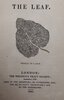 Another image of THE LEAF