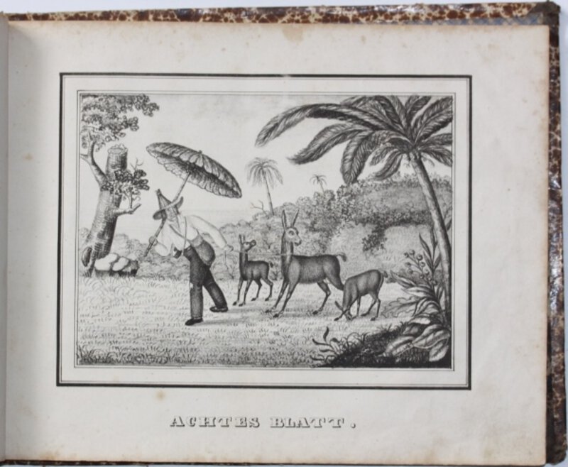 Achtzehn Bilder Zum Robinson Crusoe Nach J H Campe Nebst Erklarung Derselben In 18 Vorschristen