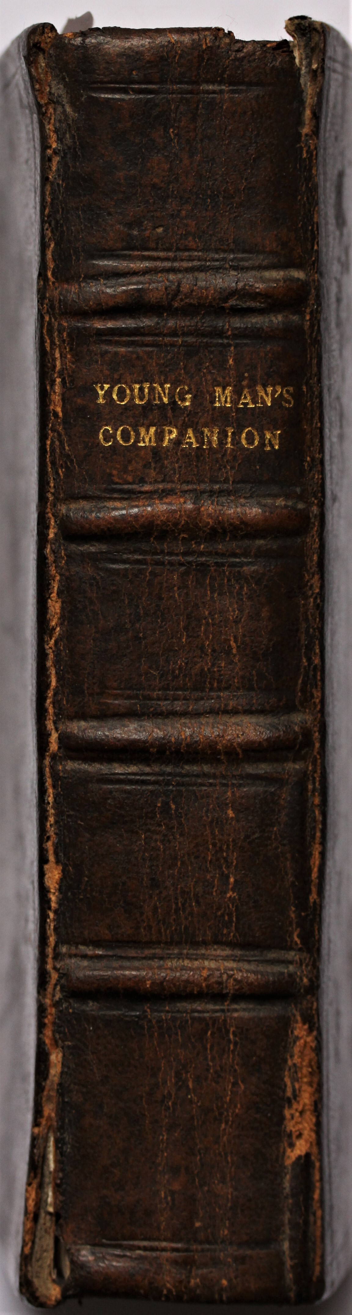 Search David Miles Books