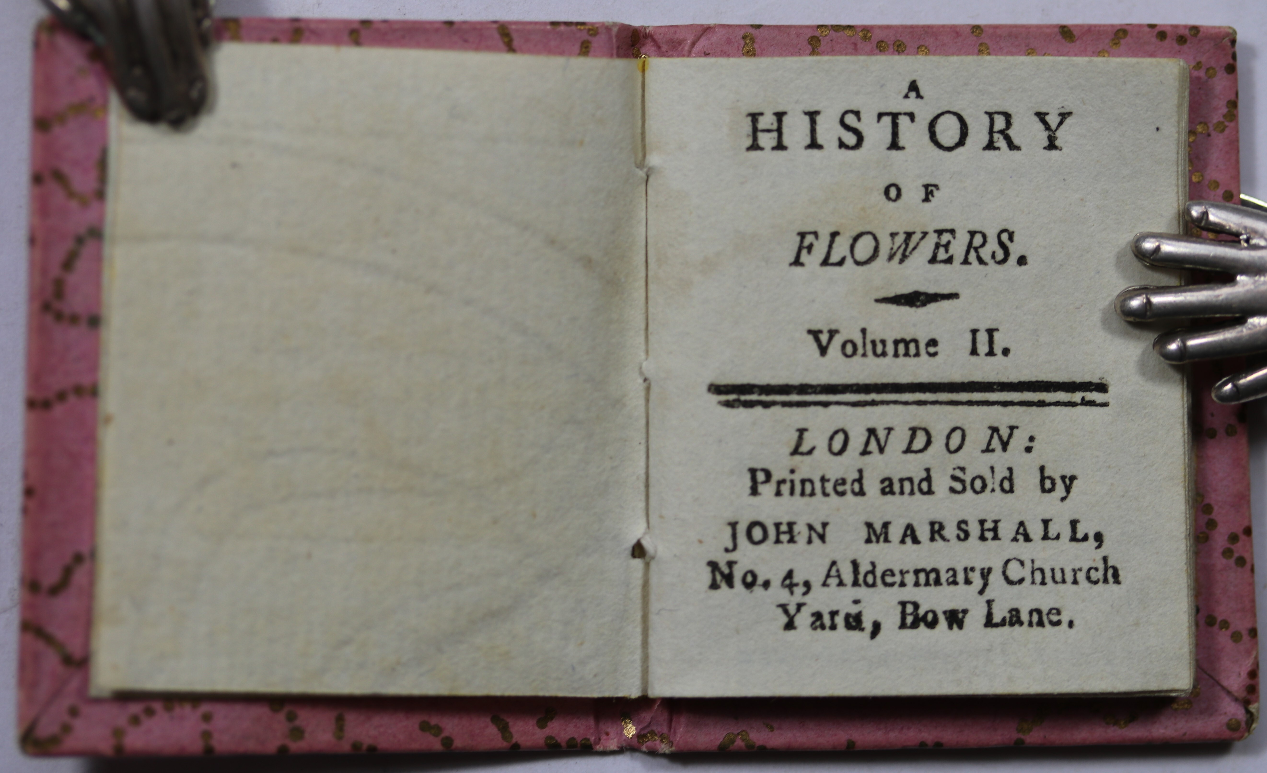 [THE INFANT’S OF FLOWERS.] A HISTORY OF FLOWERS. David Miles