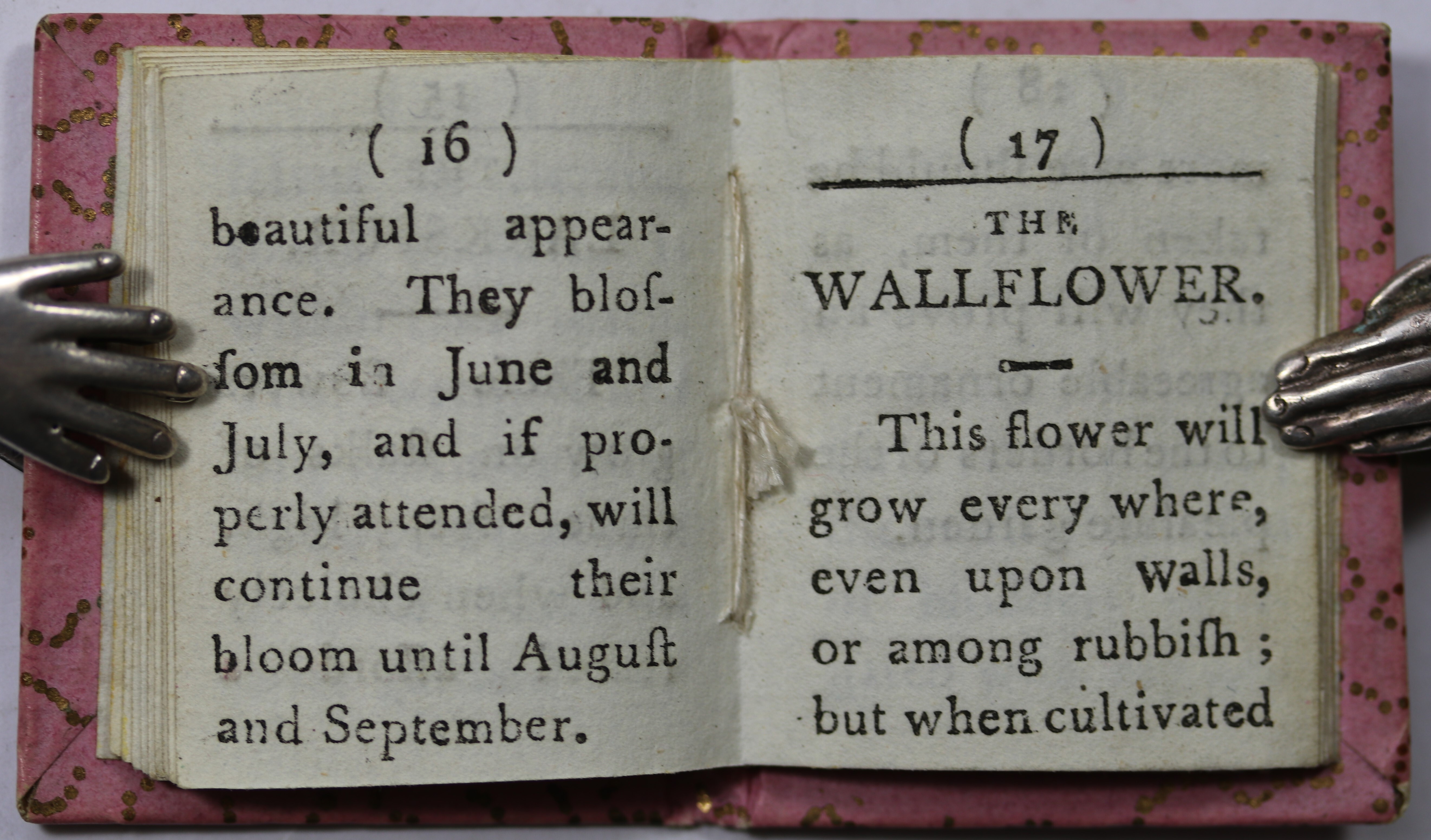 [THE INFANT’S OF FLOWERS.] A HISTORY OF FLOWERS. David Miles