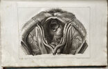 Another image of OSTETRICIA TEORICO-PRATICA by RAFFAELE, Giovanni.