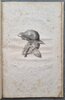 Another image of DE FISSURIS HOMINIS MAMMALIUMQUE CONGENITIS by MEYER, Conrad.