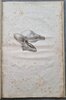 Another image of DE FISSURIS HOMINIS MAMMALIUMQUE CONGENITIS by MEYER, Conrad.