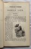 Another image of EVERY-DAY WONDERS OF BODILY LIFE; by BULLAR, Anne.
